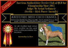 Class 5a ~ 1st ~ Anitefire Miss Coco Chanel.png